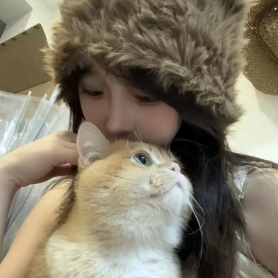 翼龙